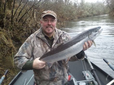 alsea fishing report|current oregon steelhead fishing report.